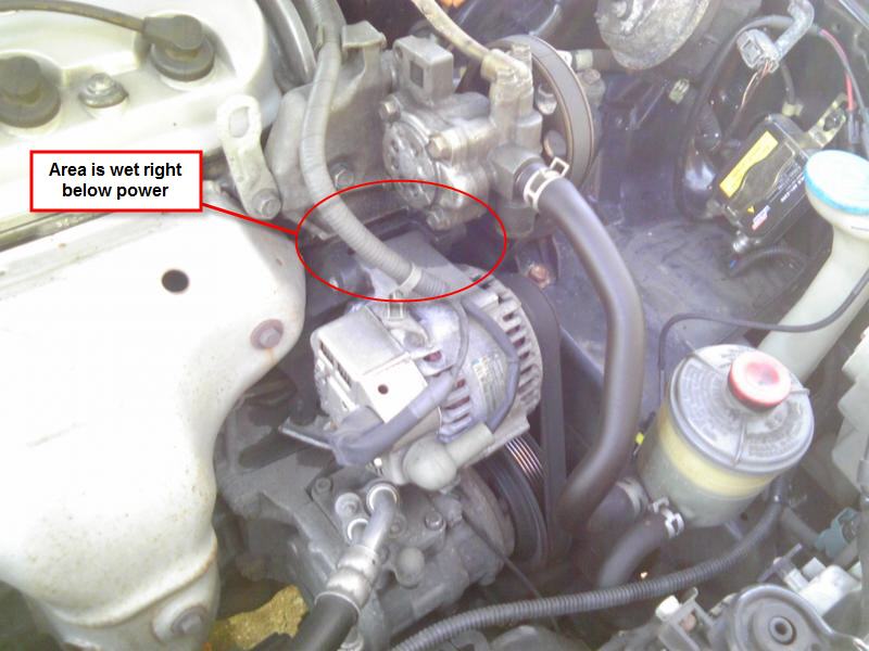 112067d1267906419-what-could-engine-bay-pic-included-img00496.jpg