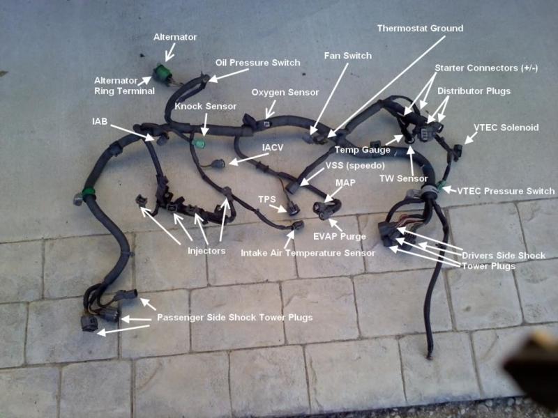 Honda Civic Engine Harness Connectors And Plugs