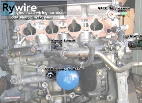 92-00 Honda/Acura engine wiring, sensor & connector guide - Honda-Tech