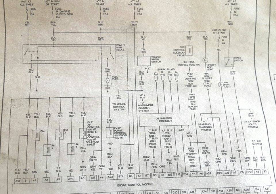 1994 Honda Civic Fuel Pump Wiring Diagram - Wiring Diagram