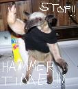 Name:  anteater hammer time.JPG
Views: 199
Size:  4.9 KB
