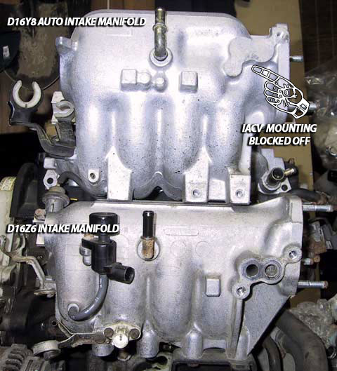 d16z6 intake manifold vs d16y8 intake manifold - Honda-Tech - Honda