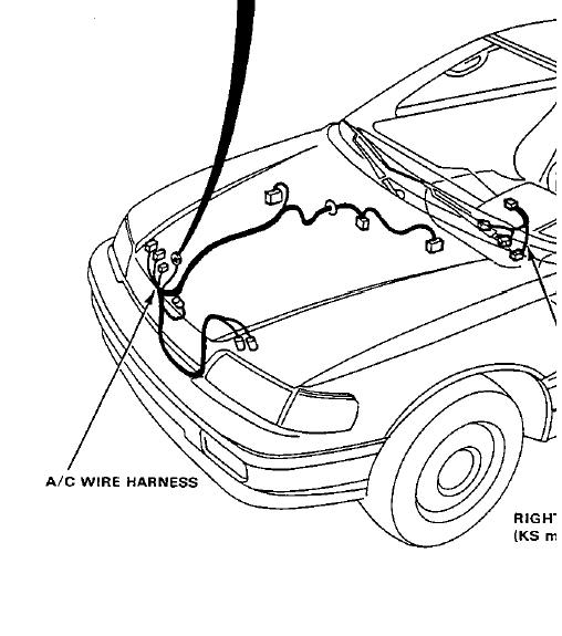 Wiring Harnes For 91 Honda Civic - Wiring Diagram Schemas