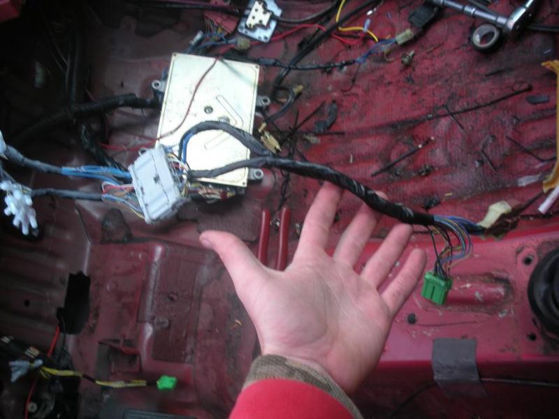 Name:  heater control wireing with extention plug.jpg
Views: 3444
Size:  55.6 KB