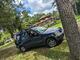 JDM1996CRV-RD1's Avatar