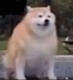 bigmac01000's Avatar