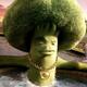 Broccolirob's Avatar