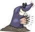 The Mole's Avatar