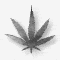 F f atuk's Avatar
