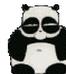 Panda-san's Avatar