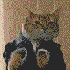 Johonson's Avatar
