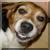 MoneyPIT_DA's Avatar