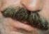 tomselleck's Avatar