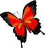 Sialove's Avatar