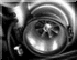 SR20DETg20girl's Avatar
