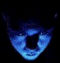 Godflash's Avatar