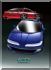 fast4teg's Avatar