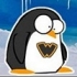 brad88nl's Avatar