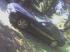 aNskY's Avatar