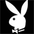 hondacivicgirlfriend's Avatar