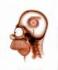 turbobean95's Avatar