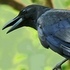 utpn's Avatar