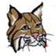 IceCat's Avatar