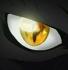 steadymatrock's Avatar