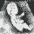(EM1)'s Avatar