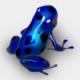 Unguarded Frog's Avatar