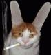 Dim@'s Avatar