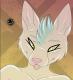 Badewolf's Avatar
