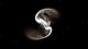 J-spec85's Avatar