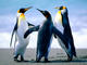 fr0stypenguin0's Avatar