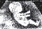 Lip's Avatar