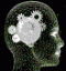 anomale's Avatar