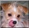 numbnuts22715's Avatar