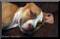 cltitus's Avatar