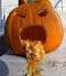 pumpkyn's Avatar