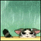 tmy's Avatar