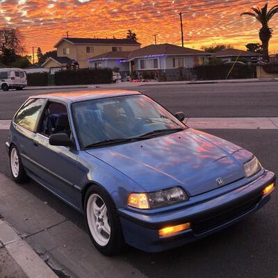 Anser's Profile Picture