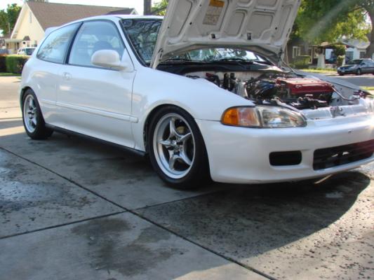 killa_bee07's Profile Picture