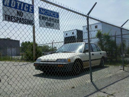 123HondaFan's Profile Picture