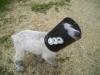 beeza's Profile Picture