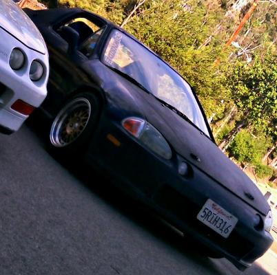 phorse's Profile Picture