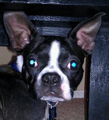 Paul Elisha's Profile Picture