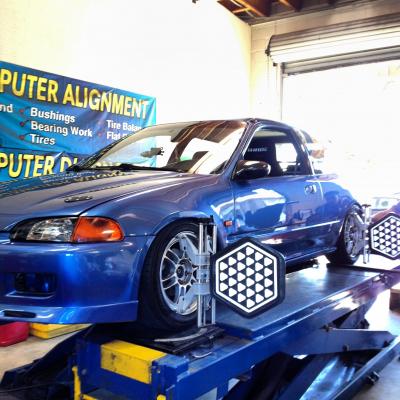 TomCurllyFry's Profile Picture