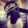 OneNiceDA9's Profile Picture