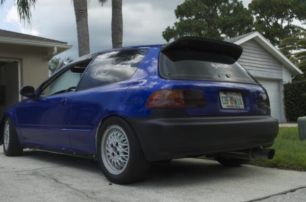 bcintron95's Profile Picture