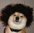 Doggah